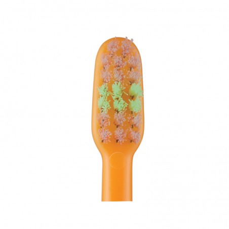 brosse à dents Vitis enfant 2-6ans